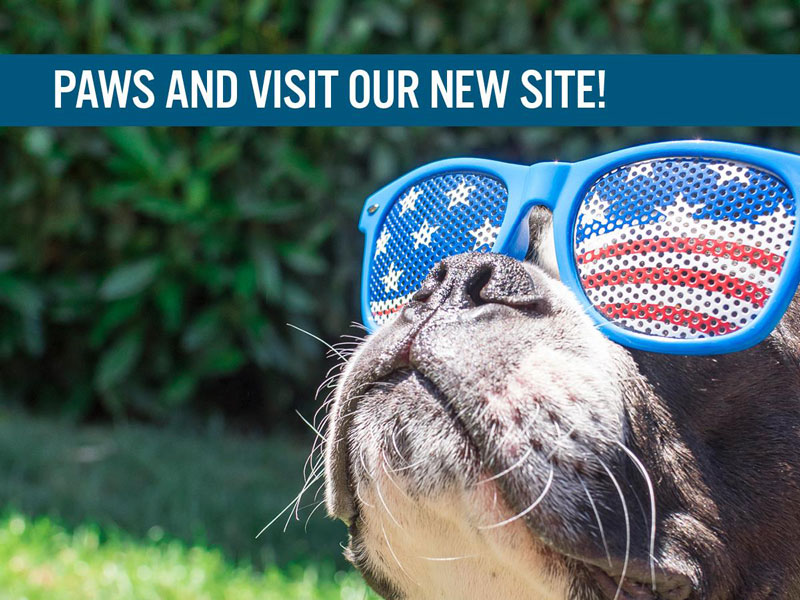 Canine Country Club new website banner